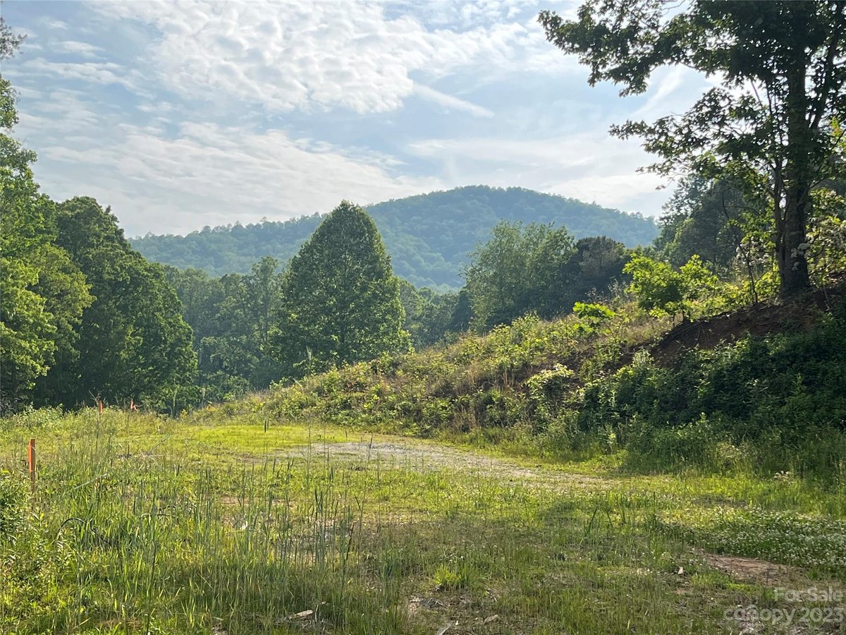 Brevard/Connestee Lots & Land Listing Report Connestee Falls Realty