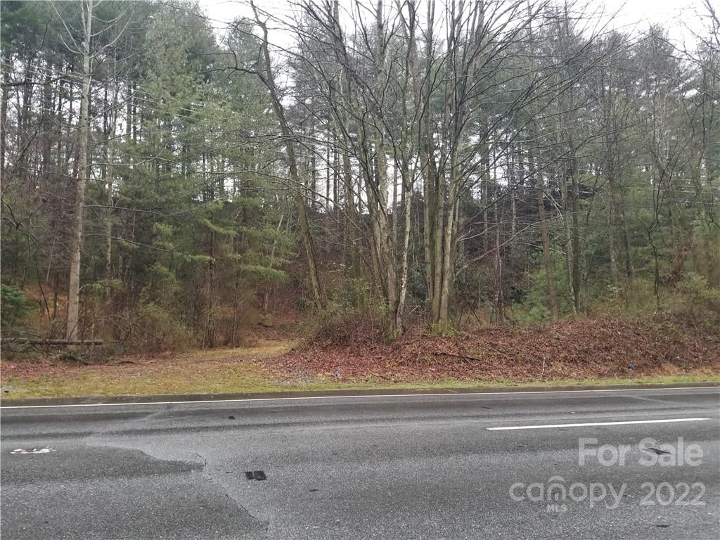 Brevard/Connestee Lots & Land Listing Report Connestee Falls Realty