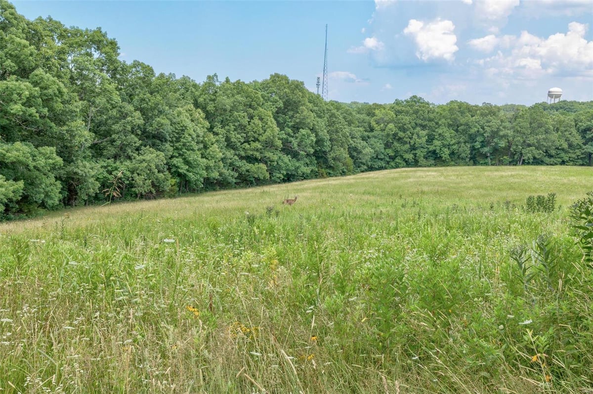 1008 Brickyard Rd, Hillsboro, MO 63050 MLS 23035503 IDX Real