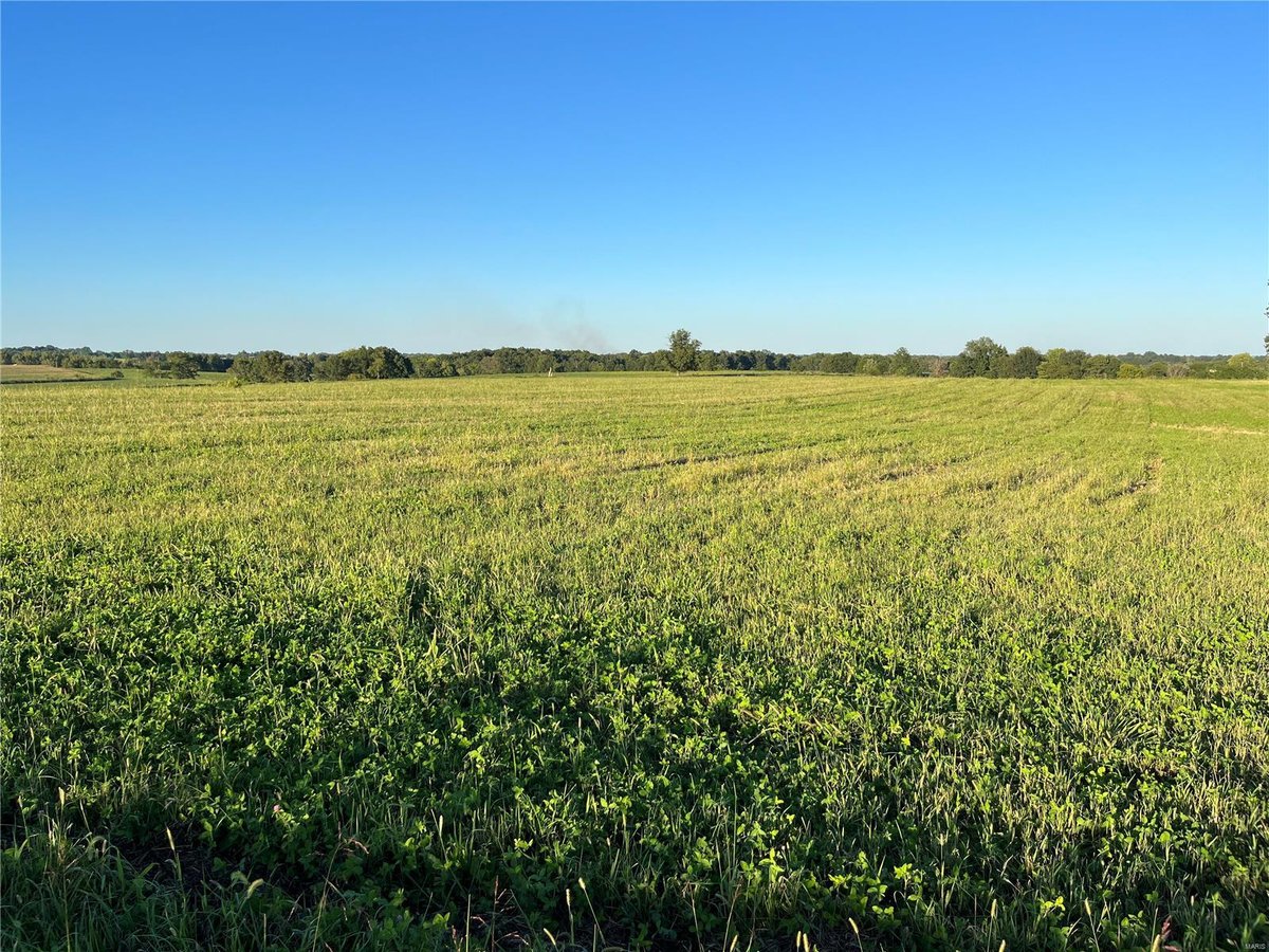 0 Hwy OO, Old Monroe, MO 63369 MLS 23053135 IDX Real Estate For