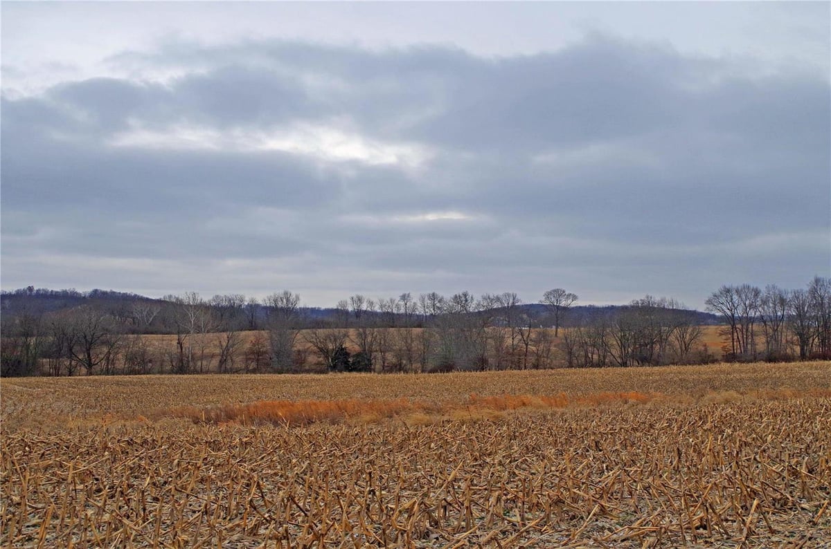 0 Hwy JJ, Elsberry, MO 63343 MLS 24001993 IDX Real Estate For Sale