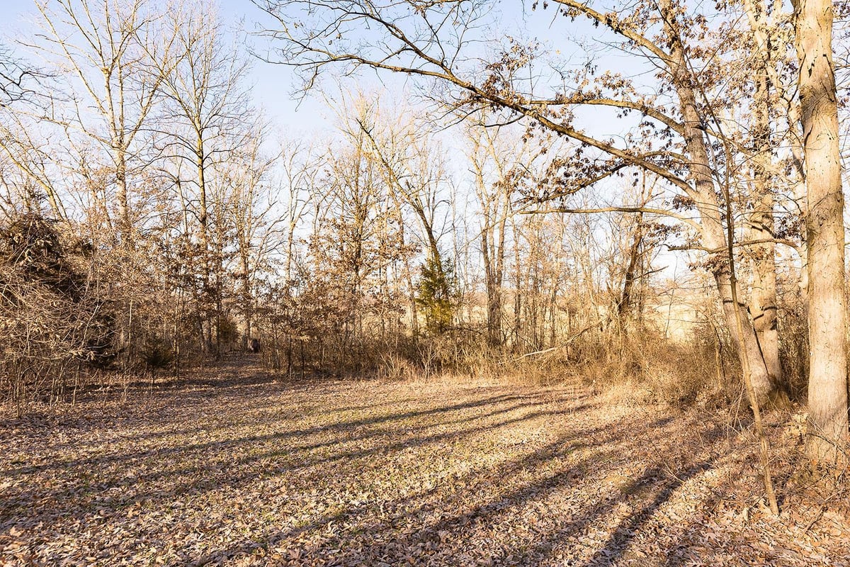 4710 Pike 451, Curryville, MO 63339 MLS 24011041 IDX Real Estate