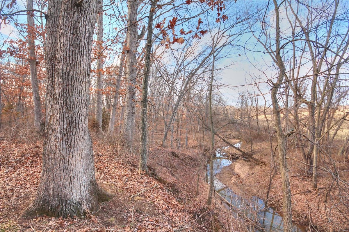 4710 Pike 451, Curryville, MO 63339 MLS 24011041 IDX Real Estate