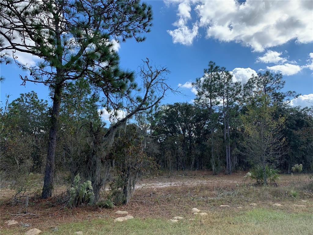 Featured Properties Harriett Downs Real Estate