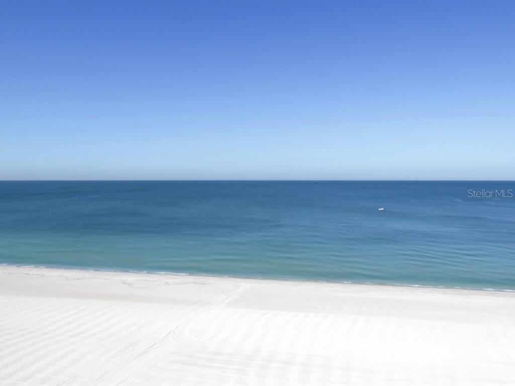 Clearwater Fleur De Lis Luxe Realty