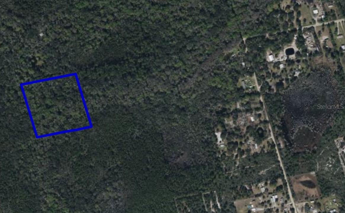 095 PINE NEEDLE ROAD,  MIMS,  FL 32754