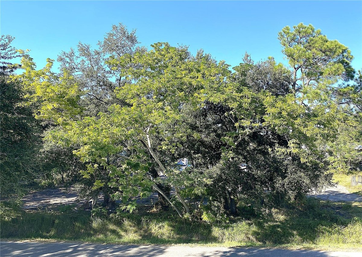 6808 NEW YORK DRIVE, TAMPA, FL 33619