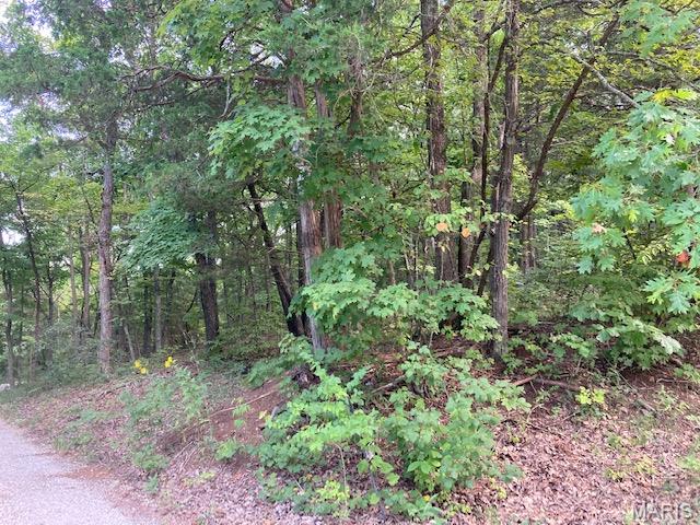 O MCNAMEE ROAD, PACIFIC, MO 63069  Photo 2