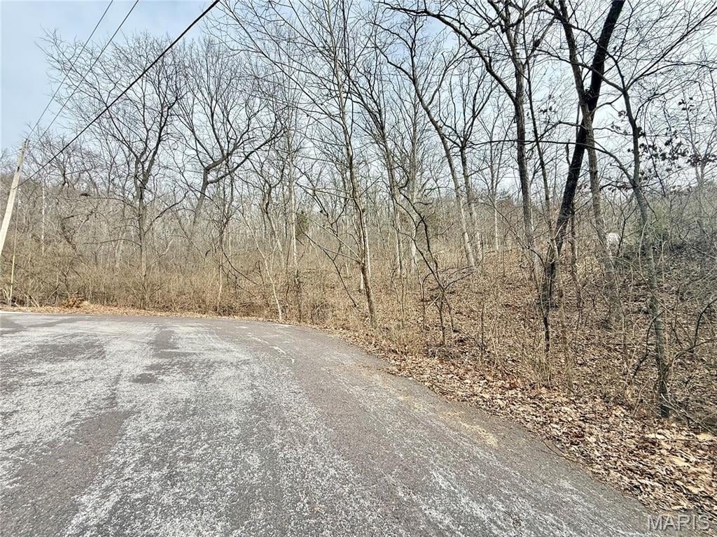 168 CHEROKEE COURT, PACIFIC, MO 63069  Photo 3