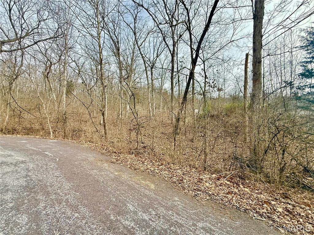 168 CHEROKEE COURT, PACIFIC, MO 63069  Photo 2