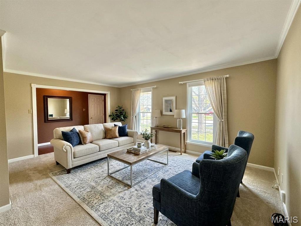 4726 BRAMBLE BERRY DRIVE, ST LOUIS, MO 63129  Photo 4