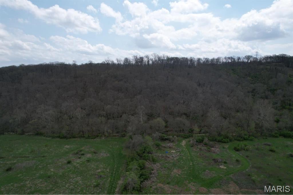 1 LOT OF 2550 OLD SUGAR CREEK ROAD, FENTON, MO 63026  Photo 12