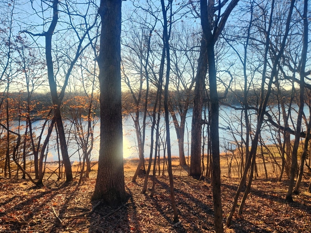 LOT 1377/1378 LAKE WILDWOOD DRIVE, VARNA, IL 61375 Local Realty Group