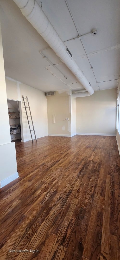 2409 W HIRSCH STREET, CHICAGO, IL 60622  Photo 10