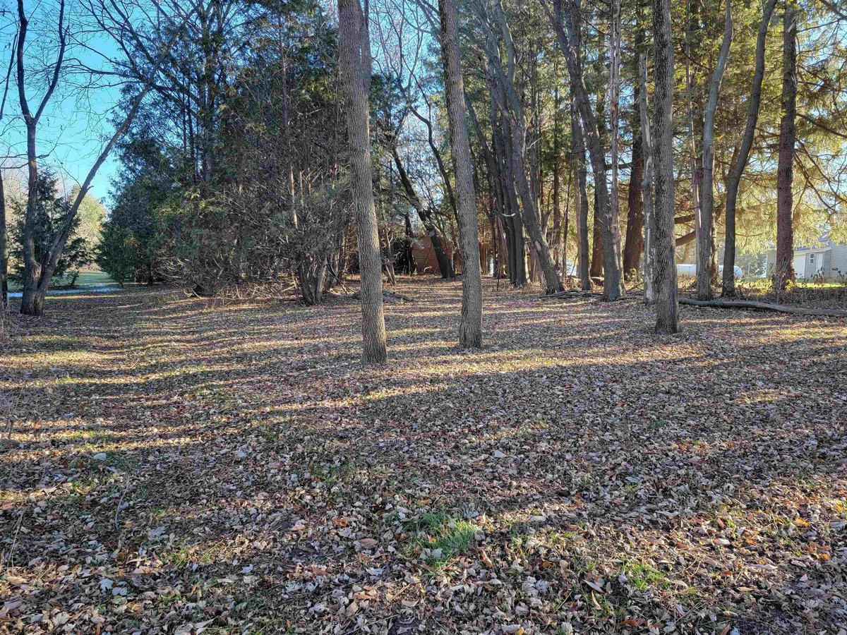 6889 Robin Ave., Lime Springs, IA 52155 MLS 20240321 IDX Real