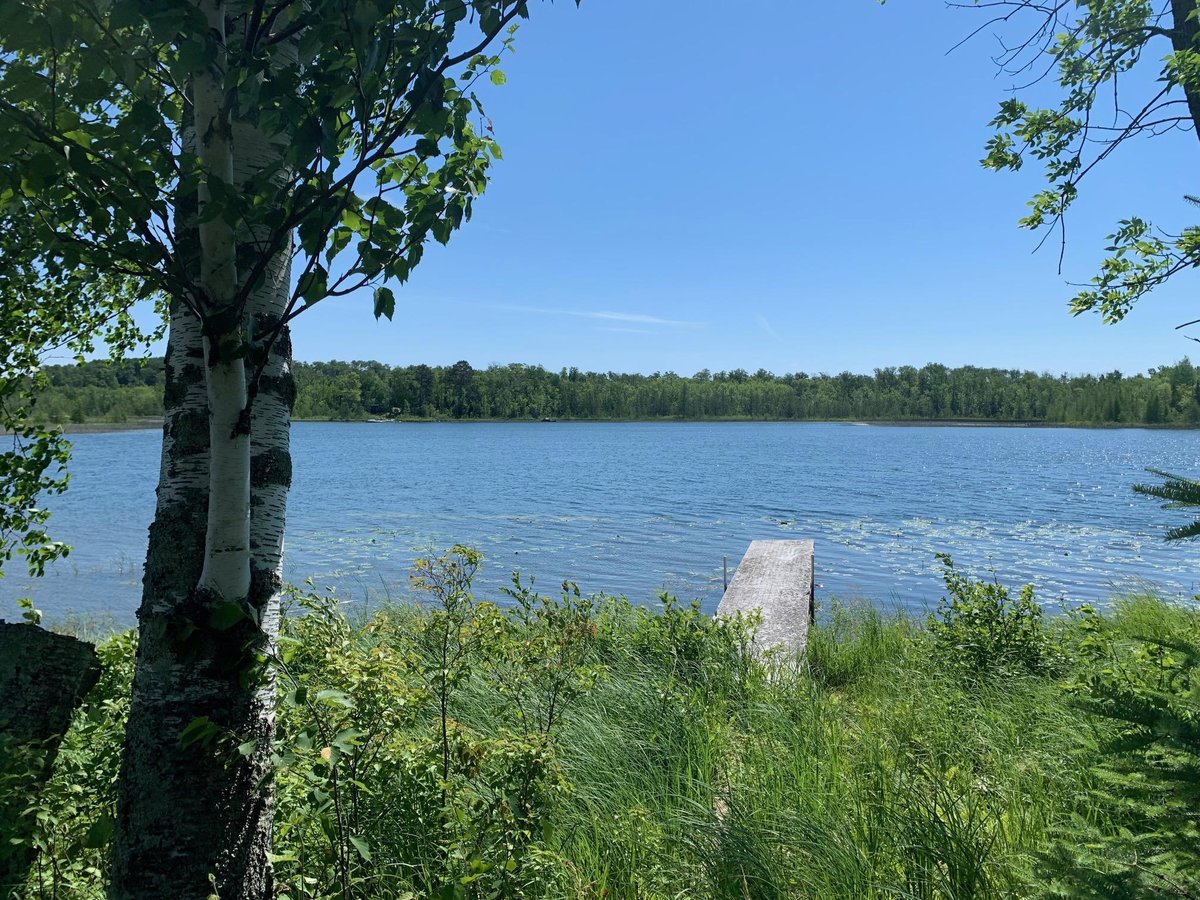 LOT 3 BUCKSHOT TRAIL NW, HACKENSACK, MN 56452 Bill Hansen Realty