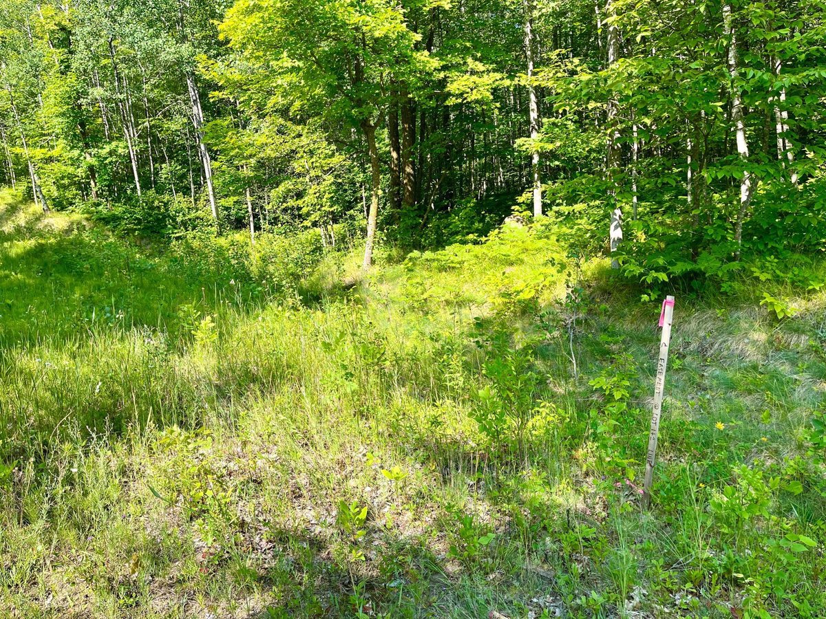 LOT 2 & 3 EVERGREEN DRIVE NW, HACKENSACK, MN 56452 Bill Hansen Realty