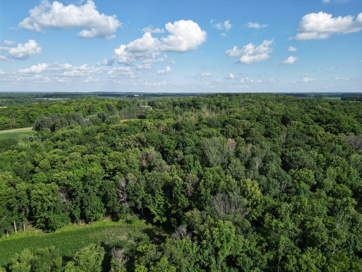 Featured Properties