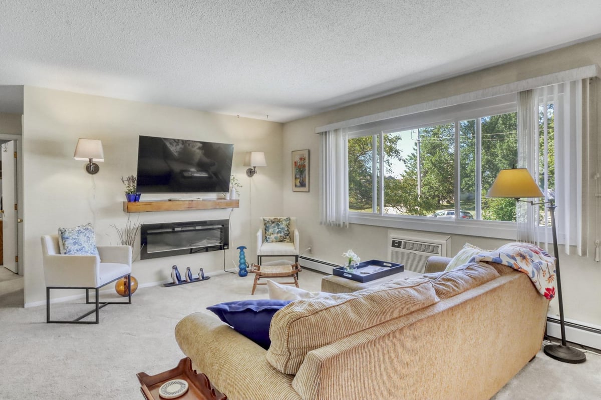 1229 Madison Avenue #295, Detroit Lakes, MN 56501