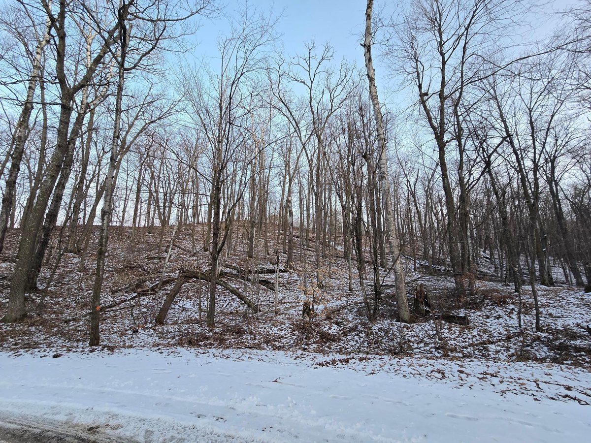 Lot25Blk1 Westward Ho, Garrison, MN 56450