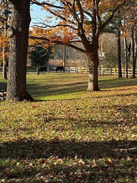 3000 Surry Lane, Minnetonka, MN 55305