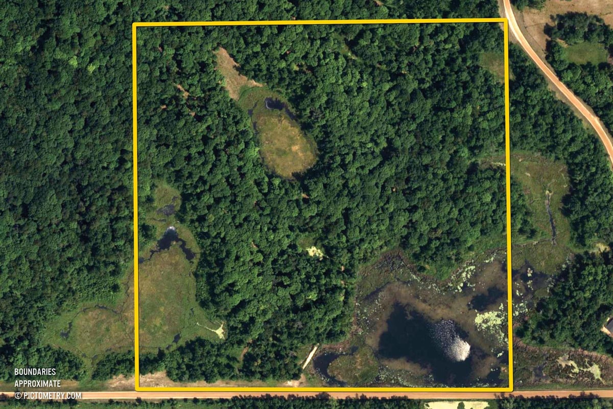 Featured Properties
