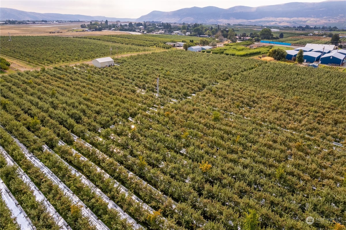 0 N Quincy Avenue, East Wenatchee, WA 98802