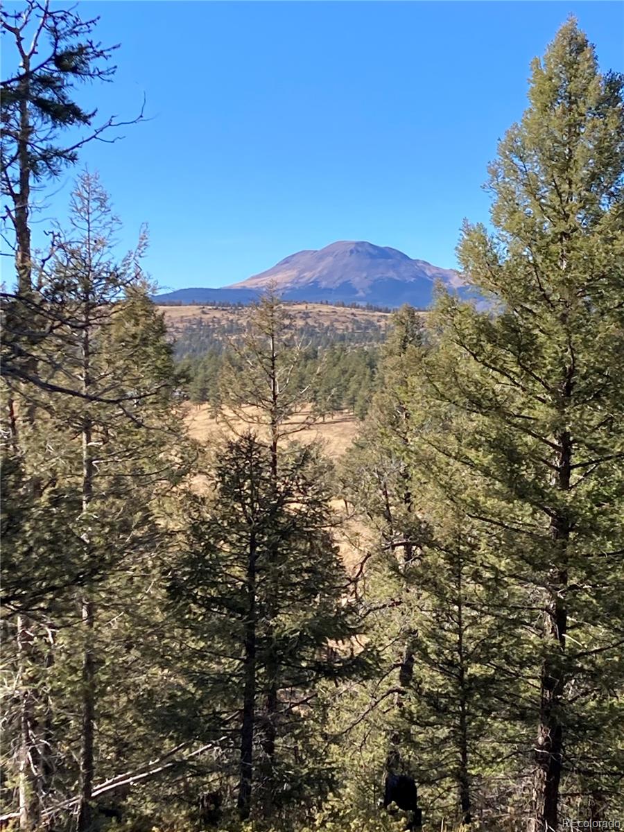 3940 SINGLETREE ROAD, HARTSEL, CO 80449 Summit Realty, Inc. Chaffee