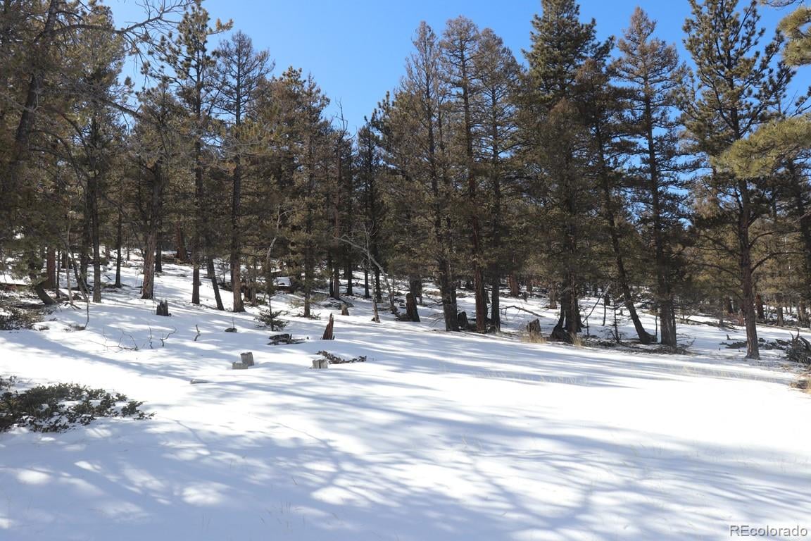 2120 BELLOWS ROAD, HARTSEL, CO 80449 Summit Realty, Inc. Chaffee