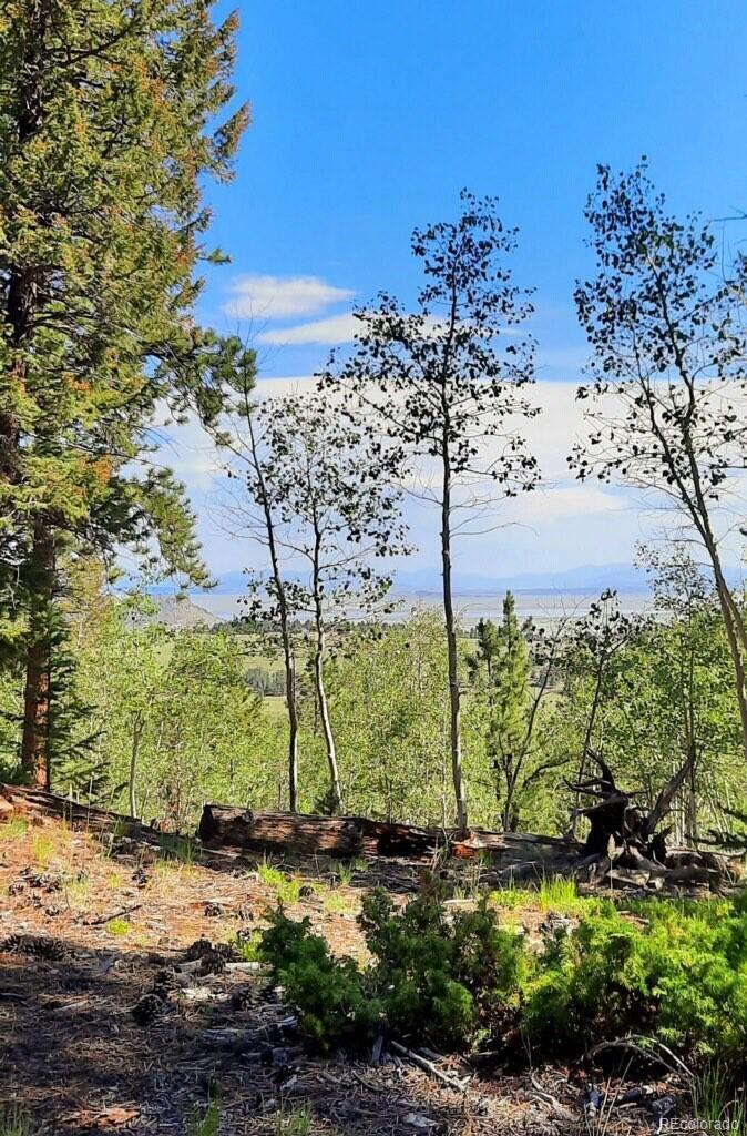 1269 BLACKSMITH ROAD, HARTSEL, CO 80449 Summit Realty, Inc. Chaffee