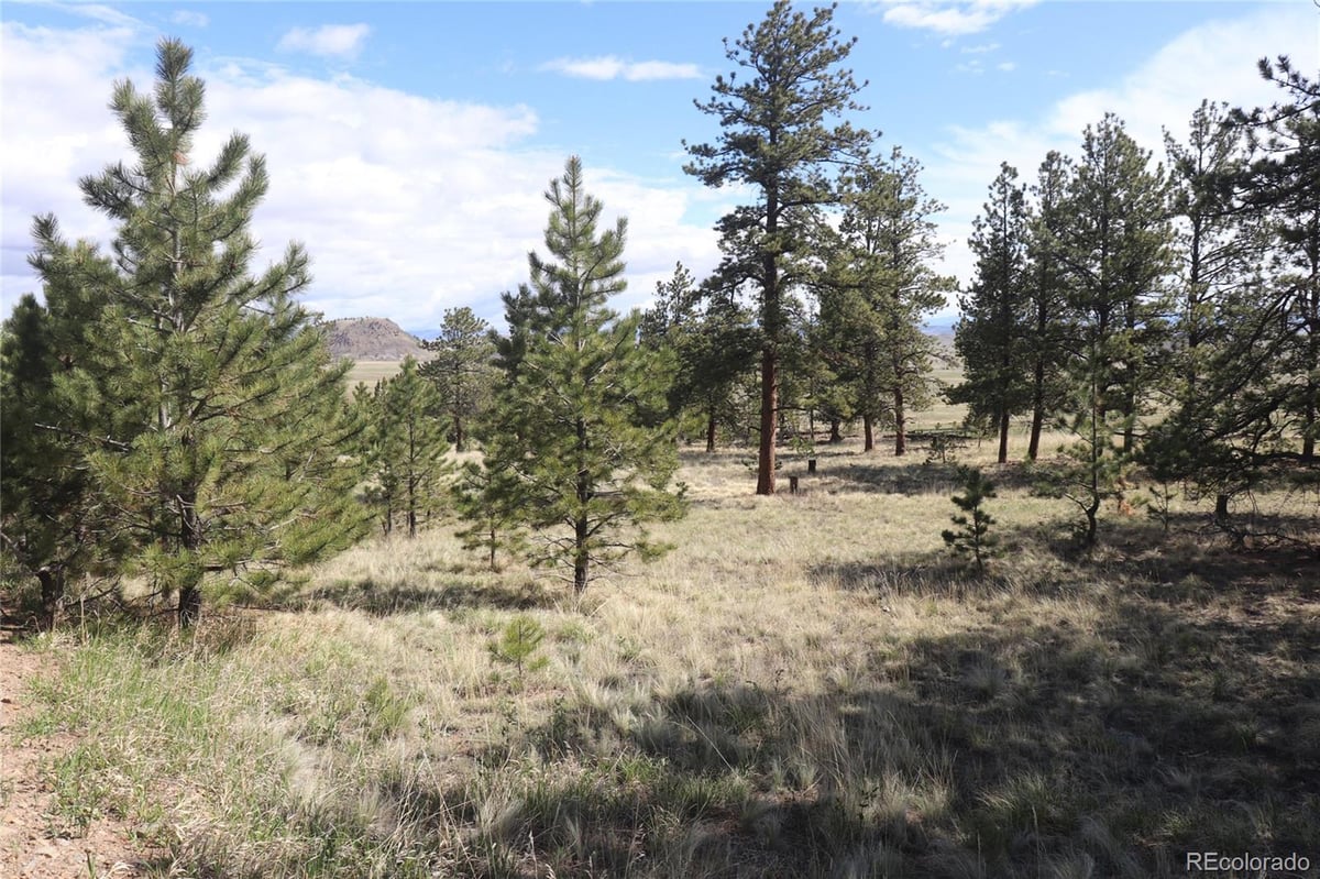 2743 WAGON WHEEL ROAD, HARTSEL, CO 80449 Summit Realty, Inc