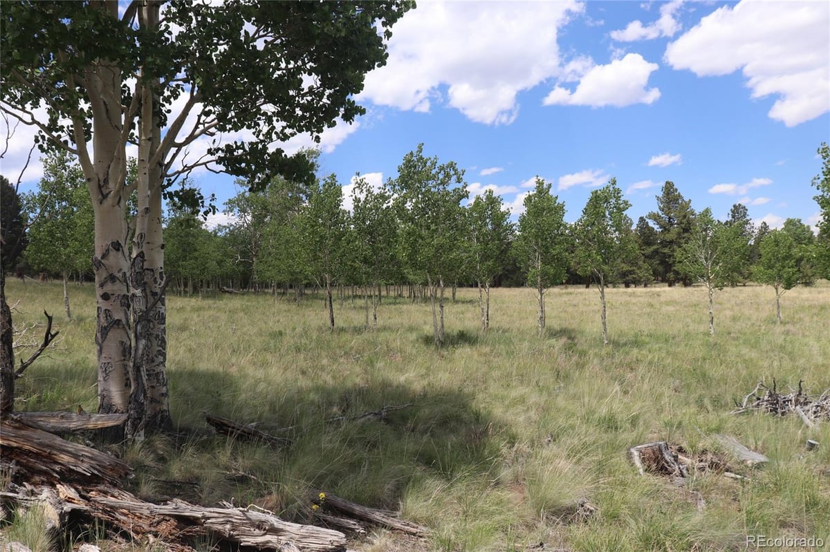 2178 PITCHFORK ROAD, HARTSEL, CO 80449 Summit Realty, Inc. Chaffee