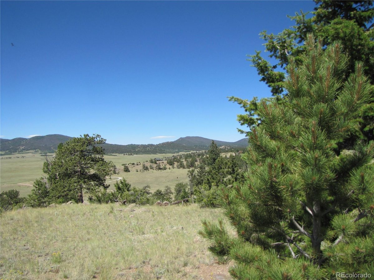 701 CANTEEN WAY, HARTSEL, CO 80449 Summit Realty, Inc. Chaffee