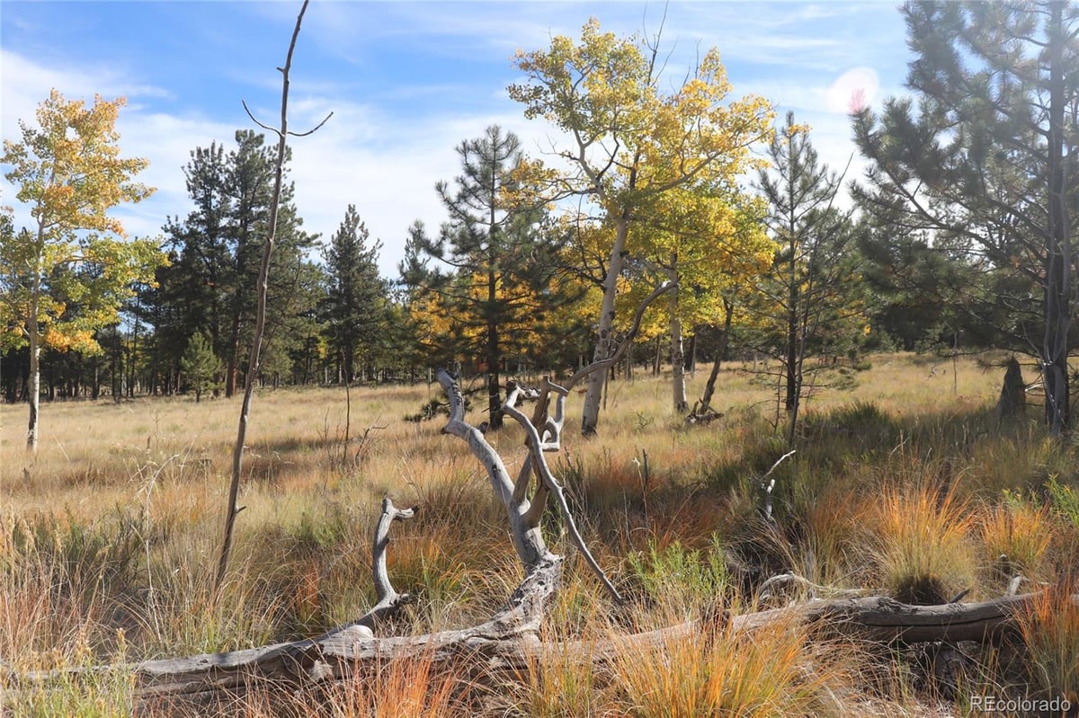 2348 CAMPFIRE ROAD, HARTSEL, CO 80449 Summit Realty, Inc. Chaffee