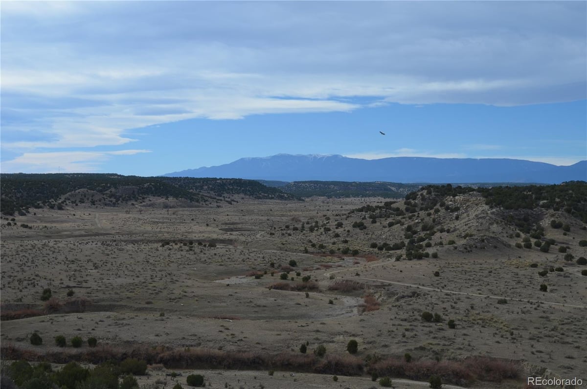 Red Creek Springs Road