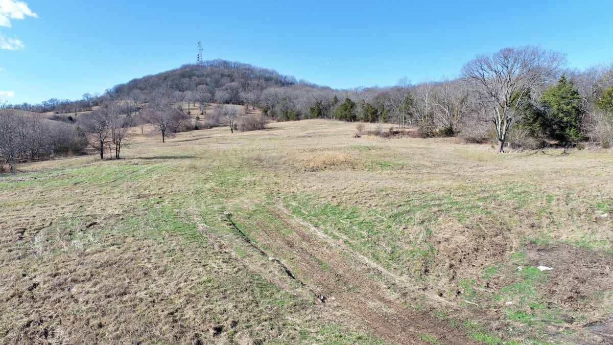 0 TEMPLOW RD, BETHPAGE, TN 37022 Gene Carman Real Estate & Auctions