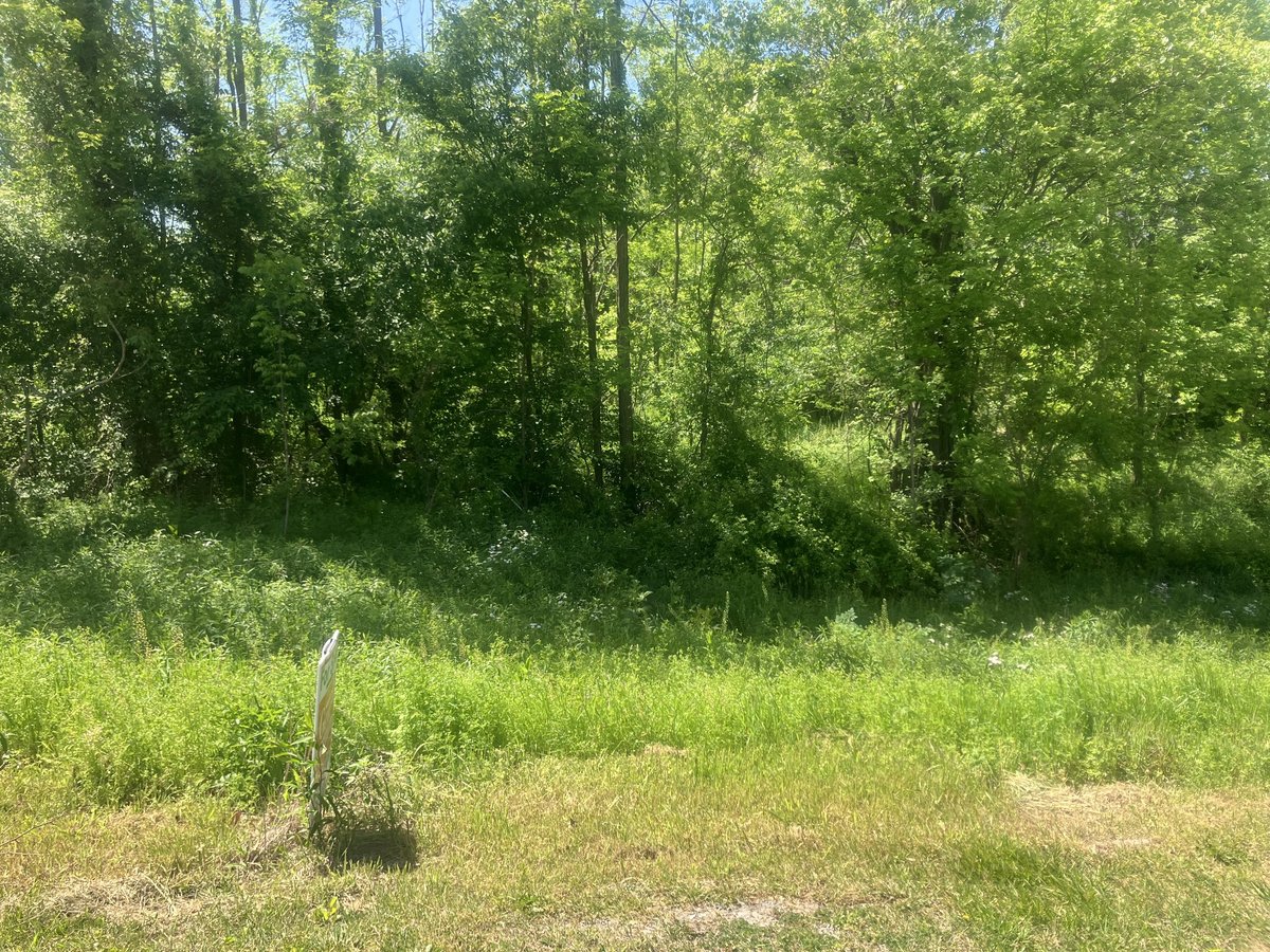 106 LAUREN LN, WESTMORELAND, TN 37186 Gene Carman Real Estate & Auctions