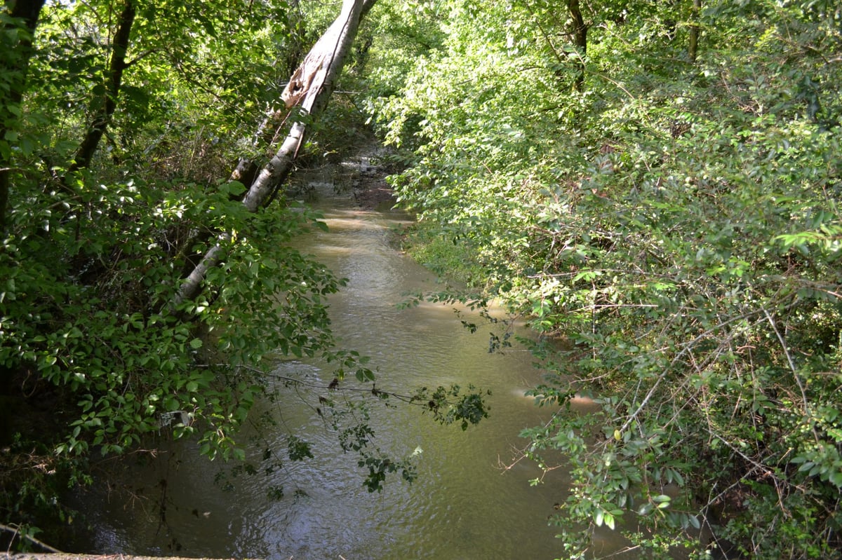 1 LICK CREEK RD, HARTSVILLE, TN 37074 Gene Carman Real Estate & Auctions