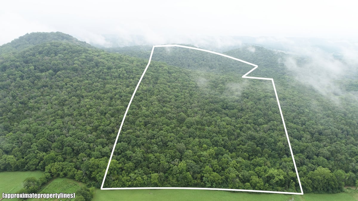 1 LICK CREEK RD, HARTSVILLE, TN 37074 Gene Carman Real Estate & Auctions