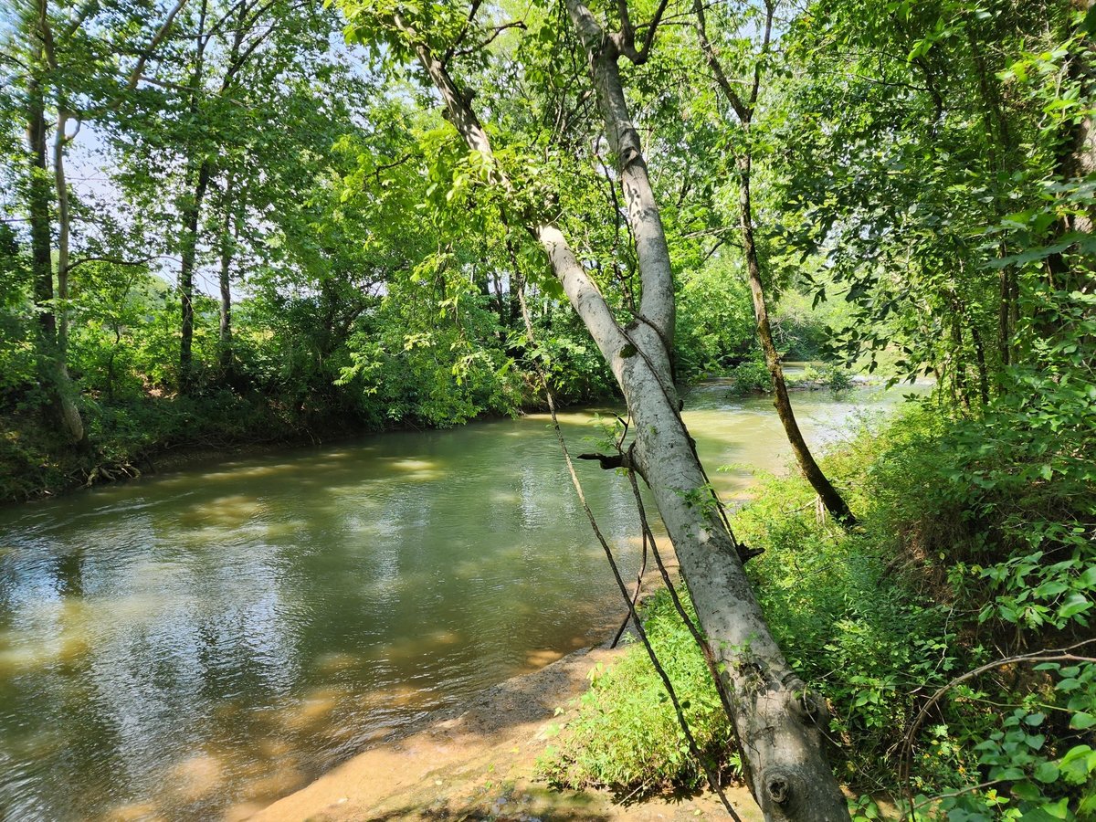 0 HWY 10, HARTSVILLE, TN 37074 Gene Carman Real Estate & Auctions