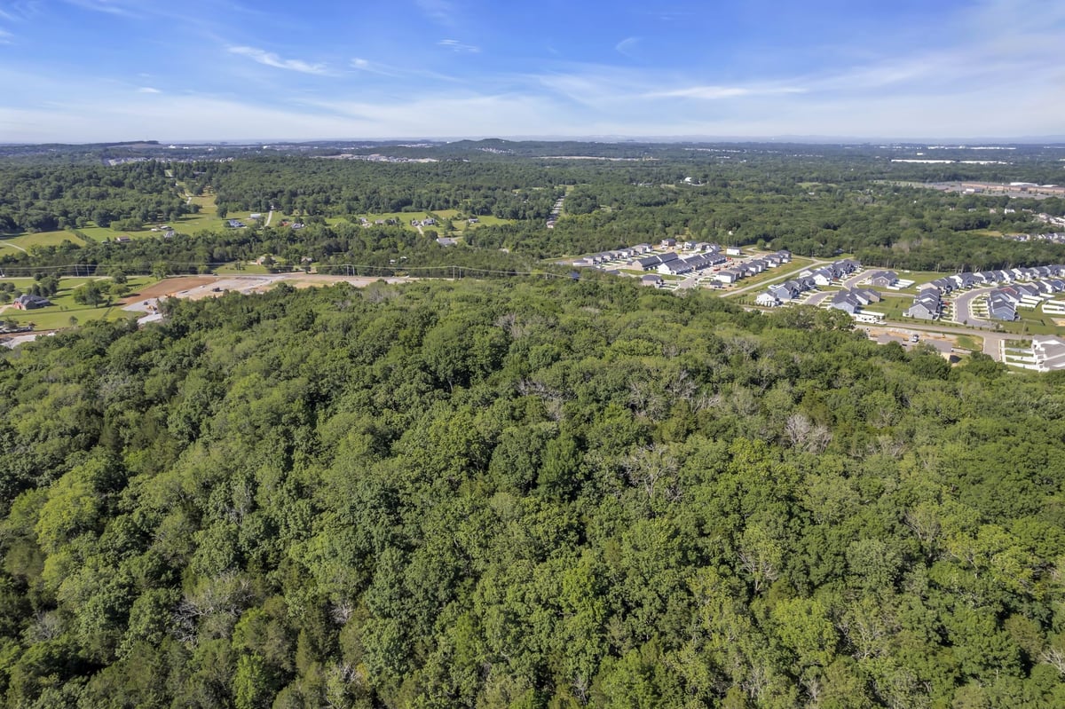 0 ROCKY FORK ALMAVILLE RD, SMYRNA, TN 37167 ⋆ Blackwell Realty and Auction