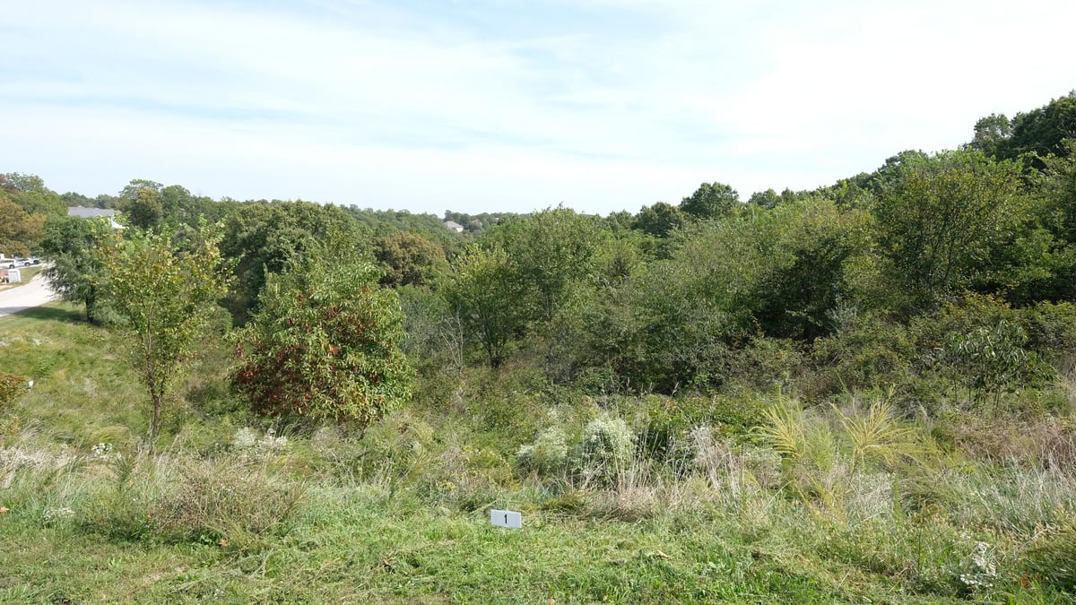 374 Emory Creek Road, Branson, MO 65616