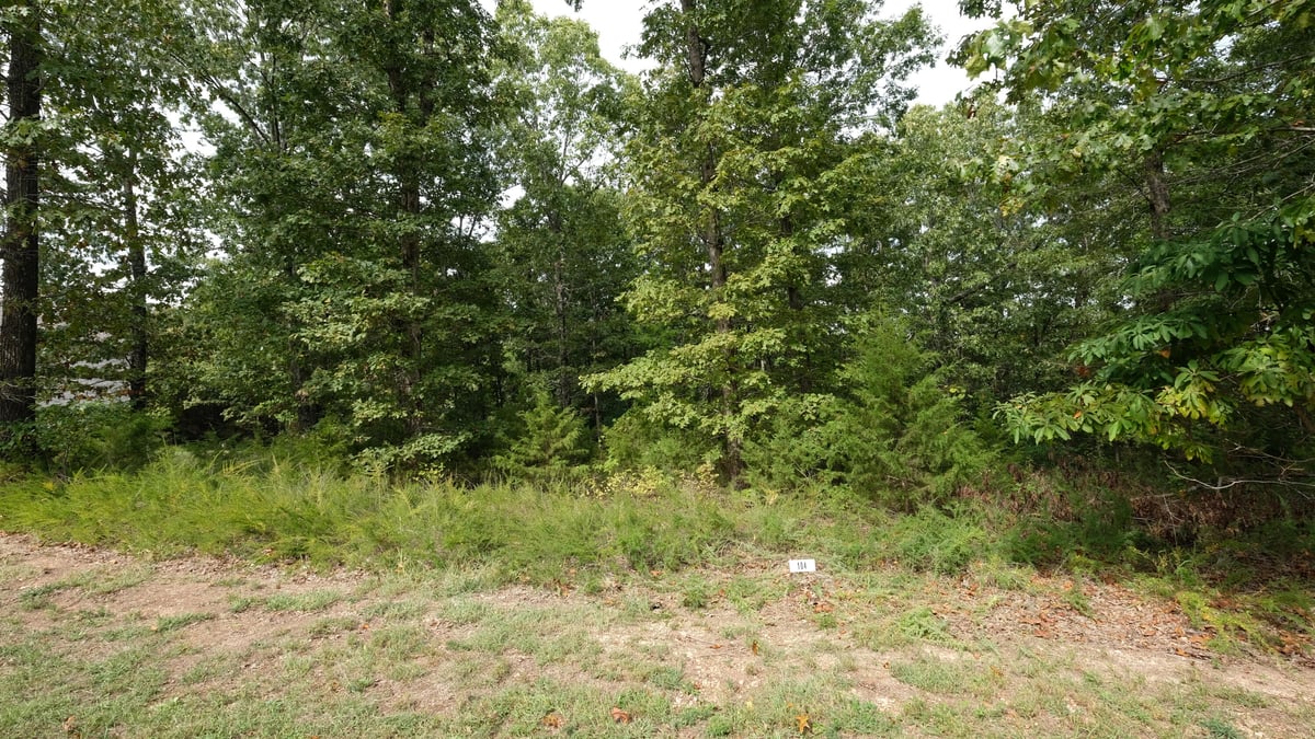 1173 Emory Creek Boulevard, Branson, MO 65616